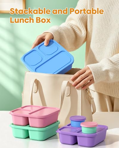 Canfanni 4-Piece Bento Box Set