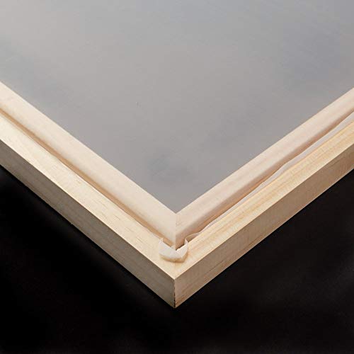 Speedball Intermediate Kit For Screen Printing, Include Screen, Squeegee, Ink, Diazo Photo Emulsion & Sensitizer #TOP4