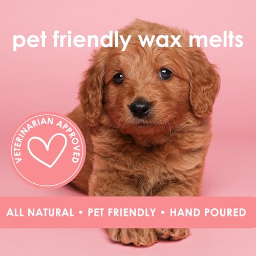 Image of Pet Safe Wax Melts for Dogs | Non Toxic Soy Wax Melts | Natural, Paraffin-Free, Clean Burning | Odor Eliminating Wax Cubes | Bergamot Sunrise