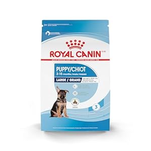 Royal Canin Size Health Nutrition Dry Large Breed Puppy Food, Supports Brain Development, Immune Support and Digestive Health, 30 lb Bag