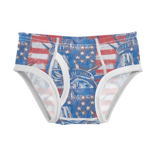visesunny Boys Cotton Underwear American Liberty Pattern Printed Toddler Soft Training Briefs Size 2T-8Y for Kids