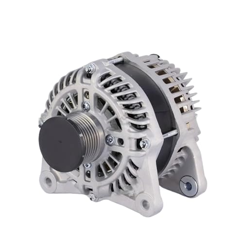 Poulie débrayable d'alternateur auto pour moteur Dualis I et Qashqai J10 2.0L 102kW