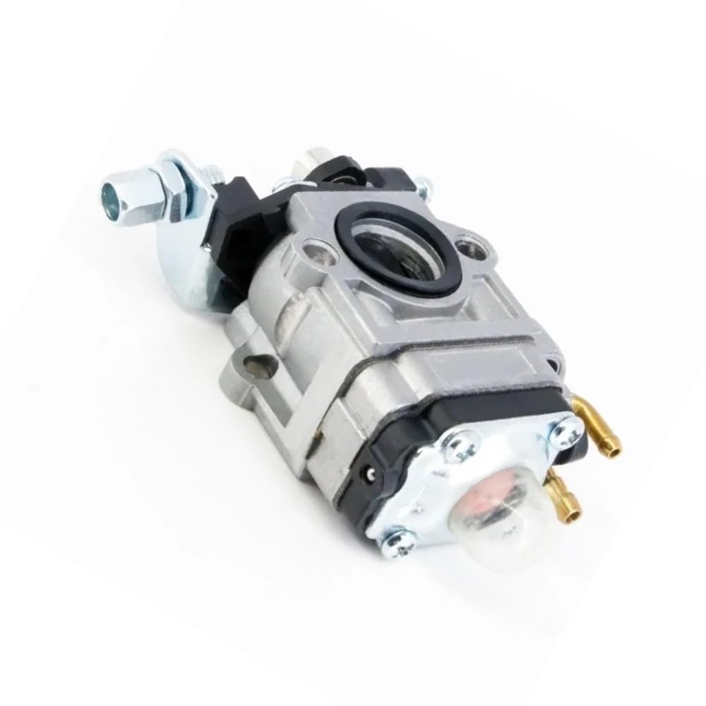 Carburateur WYK 192 pour nettoyer les feuilles mortes du jardin