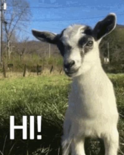 live_Morning_Meditation__20240522_064844