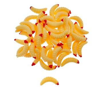 beaver tail ice fishing bait