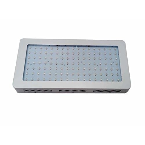 ハッピーポケット ファッジバー しっとりケーキ チョコ味