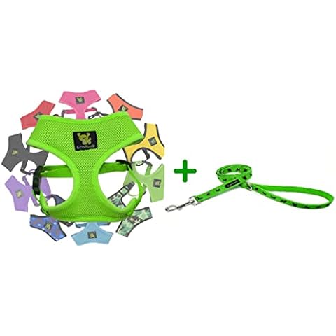 Green Dog Harness and Matching Leash Cover