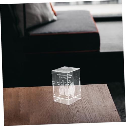 Modèle de poumon réaliste en cube de verre, cadeau idéal médecin - 7