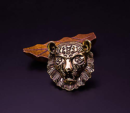 Fodattm 2Pcs Women Removable Vintage Shoe Clips Shoe Buckle Shoes Decoration Charms Shoes Clutch Dress Hat Shoes Clips (Lion Head Style - Retro Gold) #TOP2