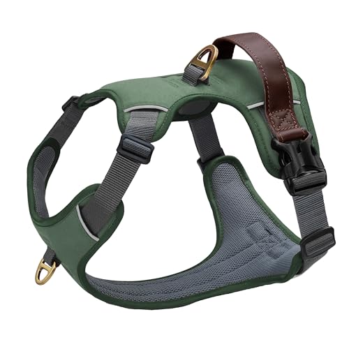 Image of Didog No Pull Dog Harness for Medium Dogs, Classic PU Leather, Green, M