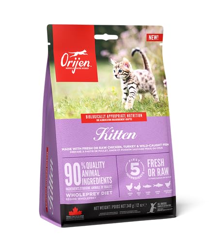 Orijen Kitten | Doppelpack | 2 x 340 g | Alleintrockenfutter für Katzen | Kann dabei helfen Kitten optimal zu versorgen | Enthält 15 frische oder rohe Zutaten | Mit Geflügel
