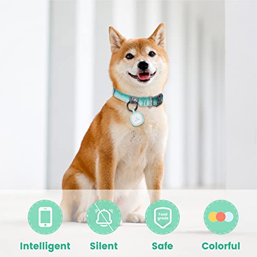 Pawaii Qr Code Pet Id Tag, Silent Silicone Dog Id Tag, Modifiable Pet Online Profile, Free Online Pet Page Emergency Contact, Scan Qr Receive Instant Pet Location Alert Email, 1Pack (Green) #TOP1