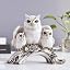 White Owl B