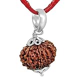 12 Face Rudraksha Natural 12 Mukhi Rudraksha Nepali Bead Real Twelve Mukhi Rudraksha Original IGL Lab Certified बारह मुखी नेपाली रुद्राक्ष Silver Cap Pure Barah Mukhi