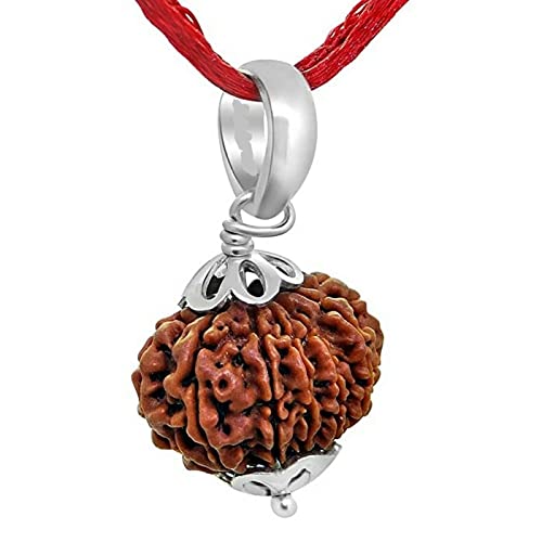 12 Face Rudraksha Natural 12 Mukhi Rudraksha Nepali Bead Real Twelve Mukhi Rudraksha Original IGL Lab Certified बारह मुखी नेपाली रुद्राक्ष Silver Cap Pure Barah Mukhi