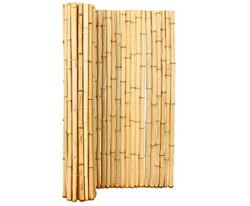 Clôture en bambou « Bali Big » - 180 x 200 cm - En tubes de bambou épais de 3,5 à 5 cm de diamètre - Tapis brise-vue en bambou - 1,8 m x 2 m