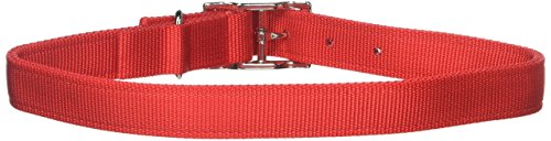 Coastal Pet Products DCP290124RED Nylon Double Dog Collar, 1 by 24-Inch, Red