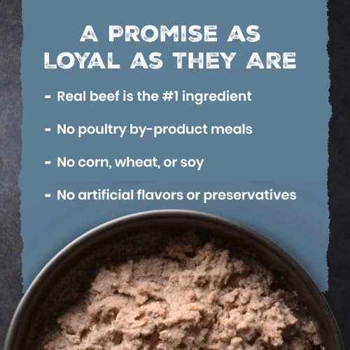 Blue Buffalo Wilderness Beef & Chicken Adult Wet Dog Food, 12.5 oz, 12 ct | 32g Protein, Real Beef #1 Ingredient, Grain-Free Recipe, Tasty Mix-In or Dry Dog Food Topper, High Protein to Fuel Adventures - image 7