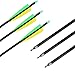 IRQ Archery 31Inch Carbon Arrow Practice Hunting Arrows with Removable Tips for Compound & Recurve Bow(Pack of 12)