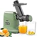 FEZEN Slow Juicer sokowirówka do owoców i warzyw, 8-stopniowa technologia młynków spiralnych, cichy silnik, funkcja odwracania, dzbanek na sok i szczotka do czyszczenia, łatwa do czyszczenia (zielona)