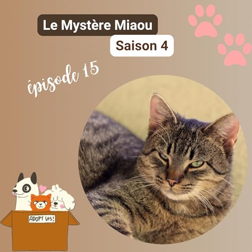Page de couverture de S04-15 : Faut-il adopter un deuxième chat ? Ce qu’il faut vraiment savoir…