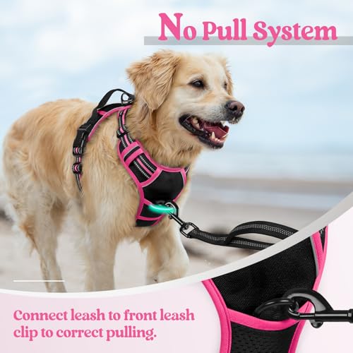 Image of rabbitgoo Dog Harness No Pull with 2 Leash Clips, Adjustable Soft Padded, Reflective Oxford No Choke Pet Vest with Easy Control Handle for Large Dogs, Black & Hot Pink, M