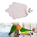 Baoblaze Parrot Mouth Molar Parrot Perch Stand Platform Bird Cage Perch for Lovebird Lovebirds Parakeet Canaries Parrots, 9x7.5cm