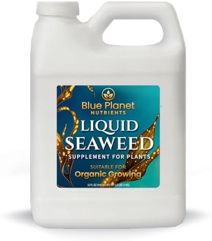 Liquid Kelp Seaweed Fertilizer Concentrate - Blue Planet Nutrients Ascophyllum Nodosum Liquid Seaweed Supplement - Makes 470 Gallons - Quart (32 oz)
