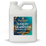 Liquid Kelp Seaweed Fertilizer Concentrate - Blue Planet Nutrients Ascophyllum Nodosum Liquid Seaweed Supplement - Makes 470 Gallons - Quart (32 oz)