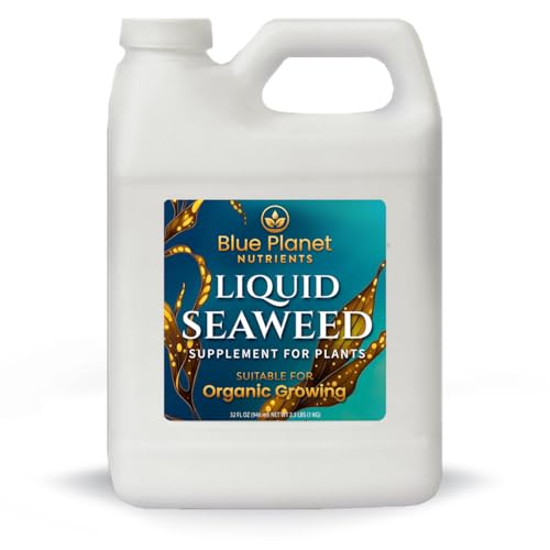 Liquid Kelp Seaweed Fertilizer Concentrate - Blue Planet Nutrients - Quart (32 oz)