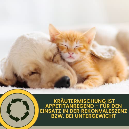 Hustensaft Katze 100ml Bronchiobol Thymian Hustensaft I Kräuter Sirup I Schleimlöser Katze Mittel Unterstützung für Atemwege bei Katzen Husten I Hustenlöser Bronchial Liquid Ergänzungsfuttermittel