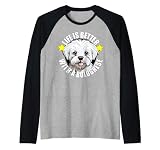 Il Bichon Bolognese sembra adorabile con un grande sorriso bravo ragazzo o brava ragazza sul viso. Per gli amanti dei cani bolognesi di ogni tipo: per uomo, donna e bambino.