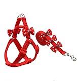 Mode: Unsere süße Hundeleine hat Bögen, um sicherzustellen, dass Sie und Ihr Haustierhund oder Ihre Katze eine harmonische und glückliche Atmosphäre schaffen