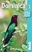 Dominica, 2nd (Bradt Travel Guides)