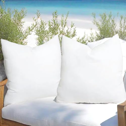 Awenbin Throw Pillows Insert?Pack of 2? 16 * 16 in Square Cushion Inner Soft Fluffy?350g Plump Stuffer for More Comfortable?Bed and Couch Pillows Indoor Decorative Pillows