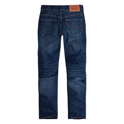 Levi's Big Boy's 502 Regular Taper Jeans Pants, Valencia, 16 #TOP1