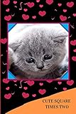 CUTE SQUARE TIMES TWO: Cute Valentines Day Gift For Cat Lovers | Notebook Journal Composition Book 100 Pages 6 x 9 Sheet Size | Sweet Gift Idea For ... Students, School Work, Office Tasks, Notes