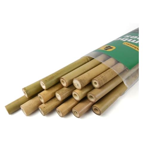 Jollybower 5/8" D 6 Feet Bamboo Stakes 50 Pack, Thicker Heavy-Duty Plant Stakes, Natural Garden Stakes for Bean, Tomato, Bean, Flowers,Trees Potted and Climbing Plant Support Cover