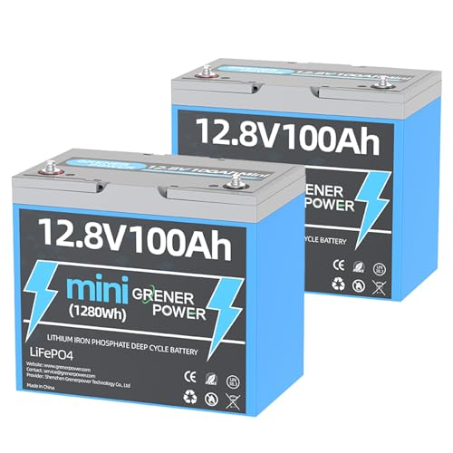 2 Pack GrenerPower 12V 100Ah Mini LiFePO4 Battery with Small ...
