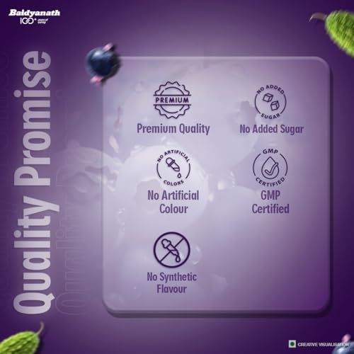 Image of Baidyanath Premium Karela Jamun Juice - 1L | Supports Healthy Blood Sugar Levels Naturally |
