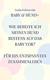 baby hunde die klein bleiben  BABY & HUND: WIE BEREITE ICH MEINEN HUND BESTENS AUF DAS BABY VOR?