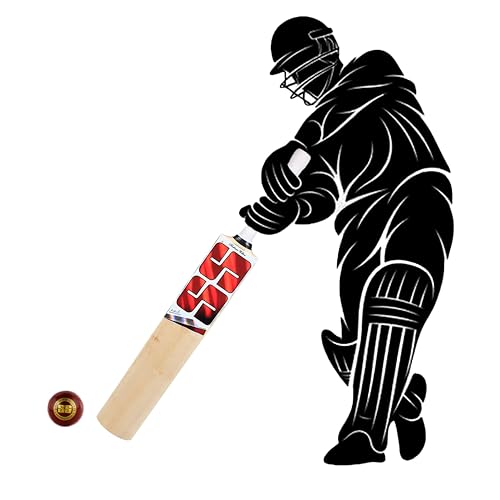Image of SS Master Kashmir Willow Cricket Bat - Size 4 Short Handle