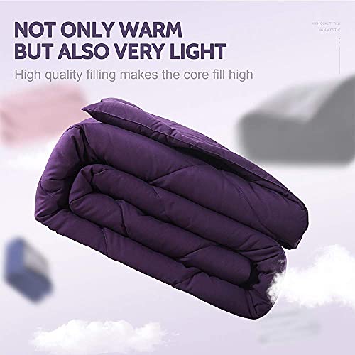 Decroom Lightweight Full Comforter Set With 2 Pillow Sham - 3 Pieces Set - Quilted Down Alternative Comforter/Duvet Insert For All Season - Purple - Full Size #TOP6