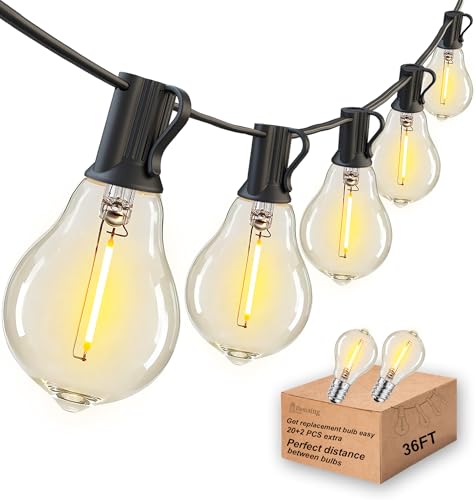 DAMAING LED String Lights Outside 36FT Weatherproof Patio Lights with 22 shatterproof dimmable Bulbs 2200K, Energy Saving Outdoor Lighting for Wedding,Party,Holiday,Backyard,2200K Black Cord.