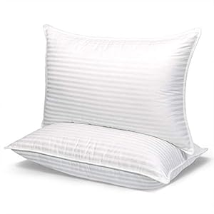 Dashing Fabrics Soft Microfiber Filled 300TC 1 Pillow with 1 Covers – Set of 1, White (20 x 30 Inches)