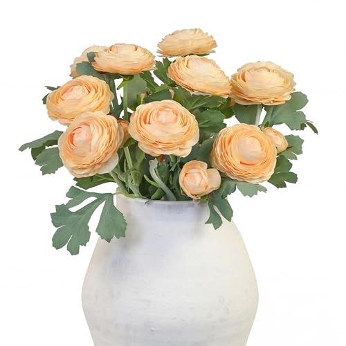 Artificial Ranunculus Flowers with Real Touch Stem,Silk Ranunculus Flowers (Champagne, 10pcs)