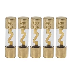 X AUTOHAUX 40A AGU Glassicherungen 5 Stücke