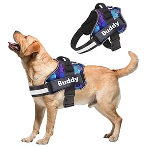 Aik India Dog Harness Chest Body Belt for Dogs, Reflective Dog Vest Harness for Large Dogs with Nylon Handle – Golden Retriever, Labrador, German Shepherd, Doberman, Husky (Large : 24-35kg Dogs, Blue)