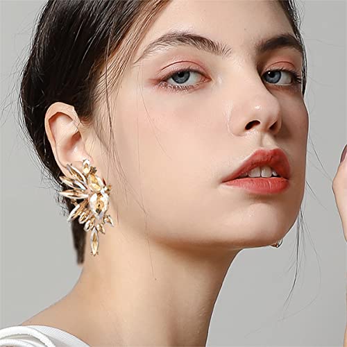 Met-edianger Champagne Rhinestone Statement Clip on Earrings Retro Vintage Crystal Drop Dangle Earrings Cluster Non Pierced Earrings for Women by met-edianger - Used condition - Image 2