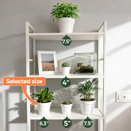 T4U 6 Inch Plant Pot 8-Pack, Plastic Planter with Drainage Hole and Saucer, Decorative Nursery Pots Bulk for African Violet, Snake Plant, Succulent, Herb and Plants Indoor (8 Pcs 6" Pots, White) by T4U - Image 5
